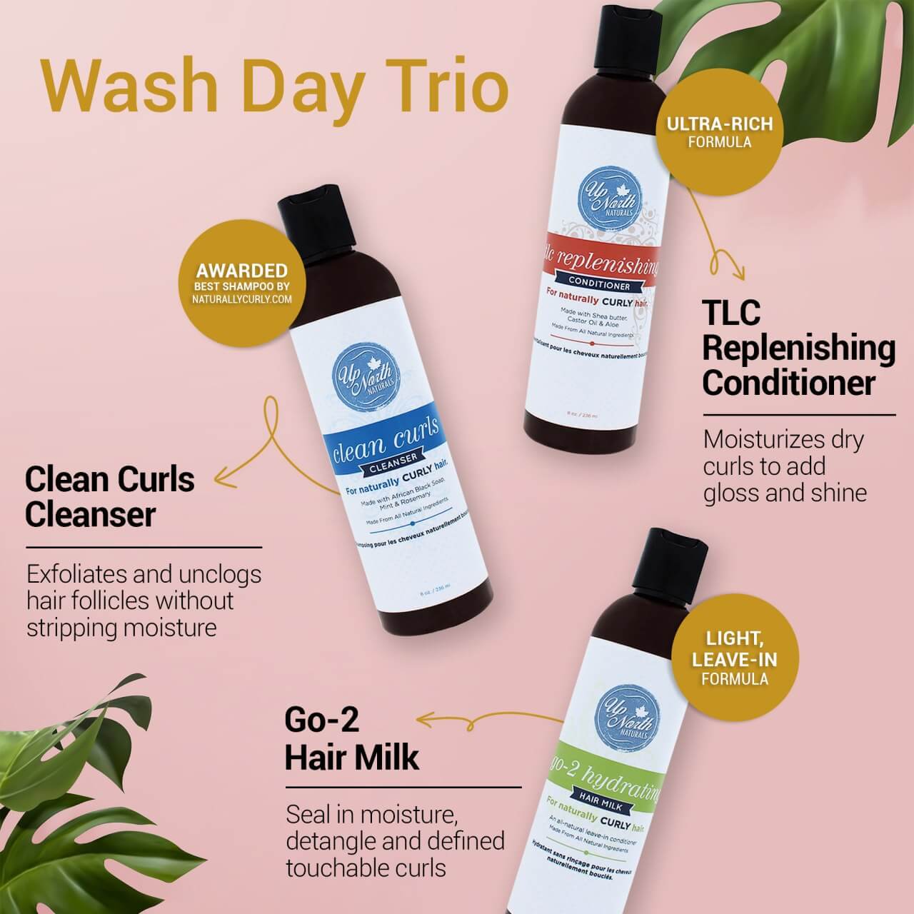 Wash Day Trio Infographic